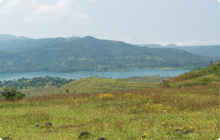 Farmhouse & Industrial Estate